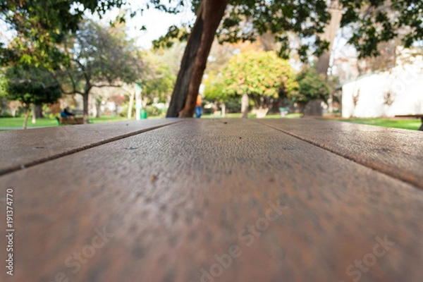 Obraz Picnic table top