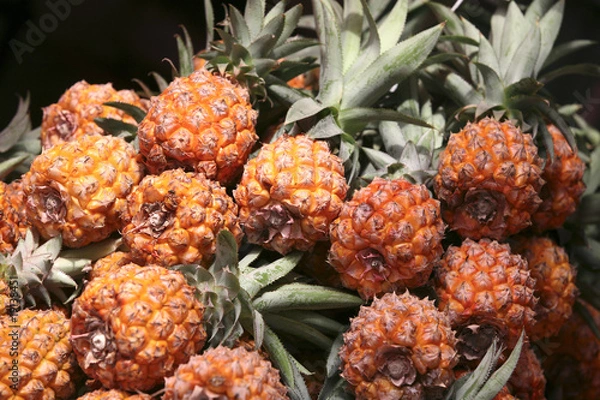 Obraz fresh raw pineapple