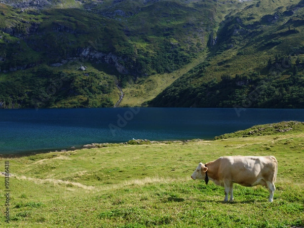 Obraz スイスの風景