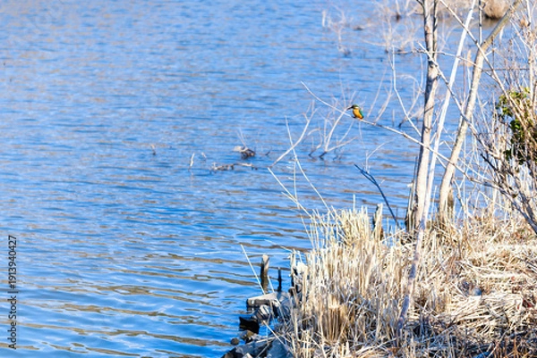 Obraz 散歩の途中で見つけた春の風景
