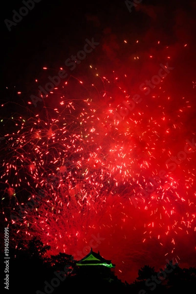 Obraz 岡崎城下家康公夏まつり