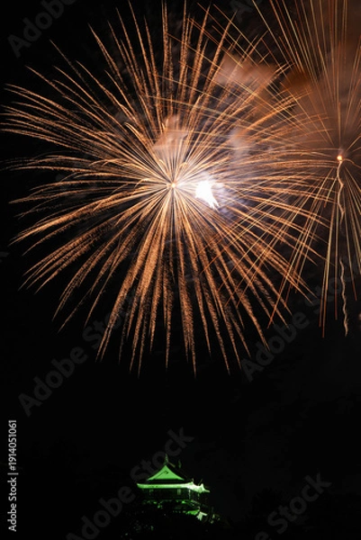 Obraz 岡崎城下家康公夏まつり