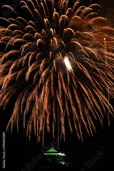 Obraz 岡崎城下家康公夏まつり