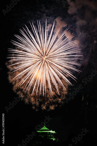 Obraz 岡崎城下家康公夏まつり