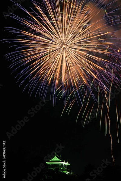 Obraz 岡崎城下家康公夏まつり