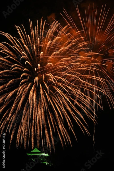 Obraz 岡崎城下家康公夏まつり