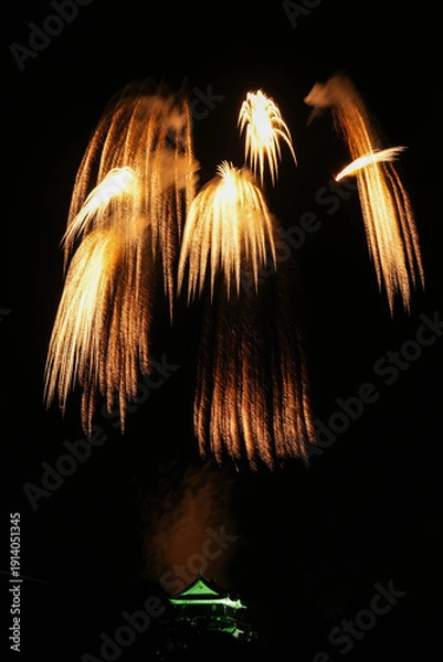 Obraz 岡崎城下家康公夏まつり