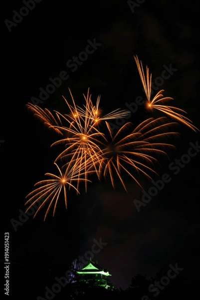 Obraz 岡崎城下家康公夏まつり