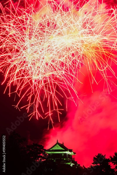 Obraz 岡崎城下家康公夏まつり