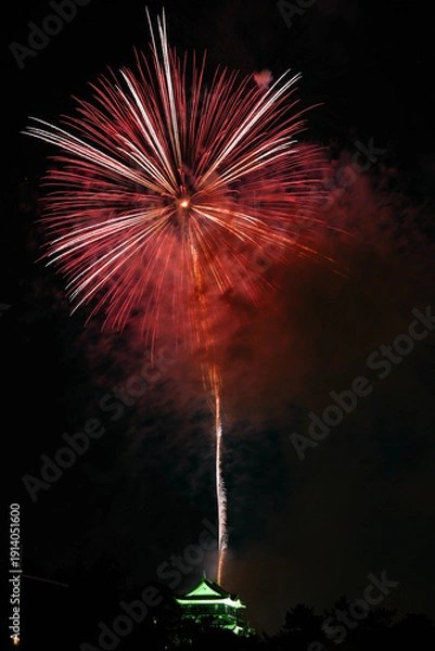 Obraz 岡崎城下家康公夏まつり