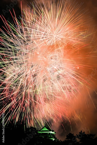 Obraz 岡崎城下家康公夏まつり