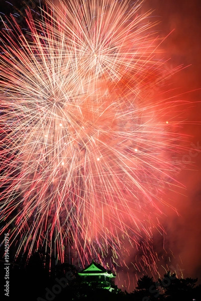 Obraz 岡崎城下家康公夏まつり