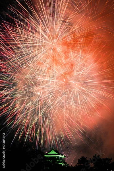 Obraz 岡崎城下家康公夏まつり