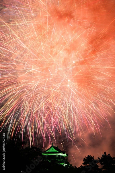 Obraz 岡崎城下家康公夏まつり