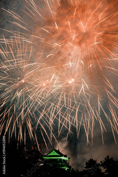 Obraz 岡崎城下家康公夏まつり