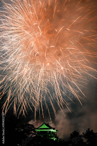 Obraz 岡崎城下家康公夏まつり