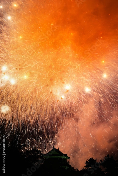 Obraz 岡崎城下家康公夏まつり