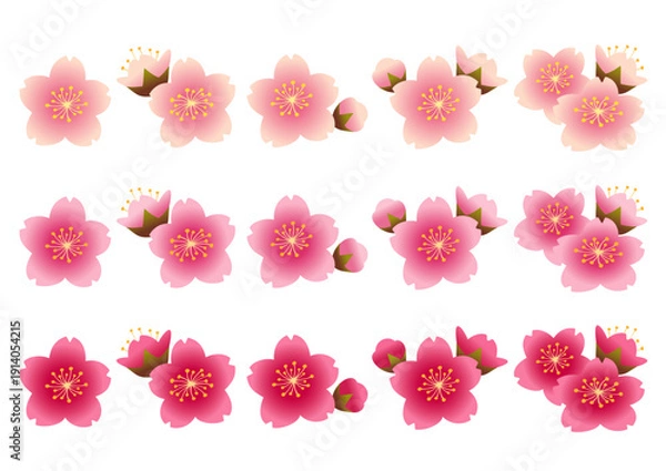Obraz ピンクや白の桜の花の花びらや蕾のセット
