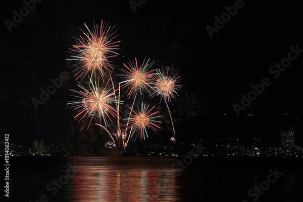 Obraz 琵琶湖大花火大会