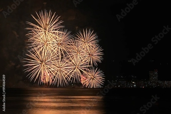 Obraz 琵琶湖大花火大会