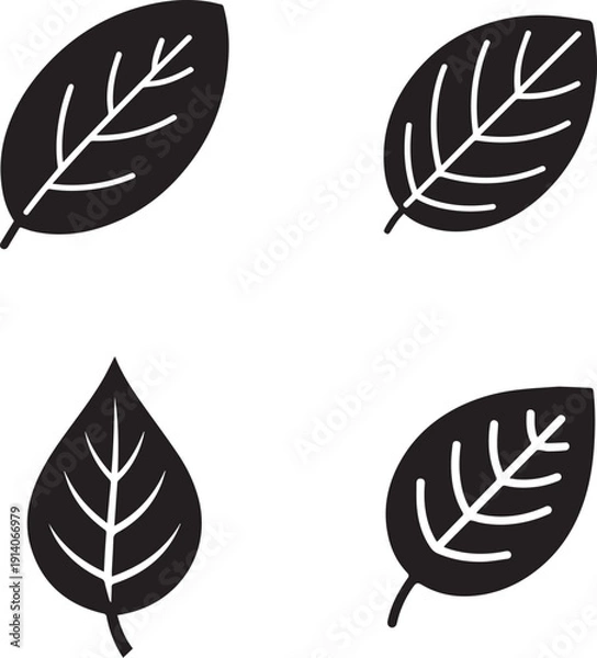 Obraz Four Flat Botanical Leaf Icons