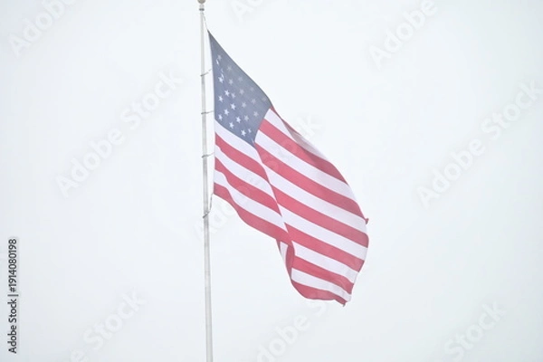 Obraz American Flag