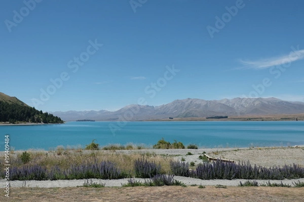 Fototapeta テカポ湖