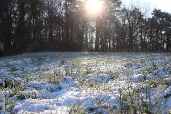 Obraz Sonne im Schneewald