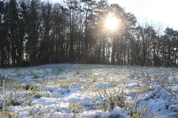 Obraz Sonne, Schnee und Wald