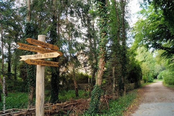 Fototapeta Waldweg mit Wegweiser