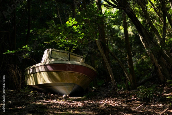 Obraz 山の中に放置された船