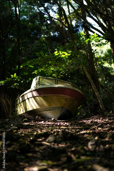 Obraz 山の中に放置された船