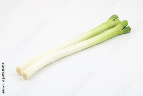 Obraz 鮮やかな緑色が映える高品質な白ネギ