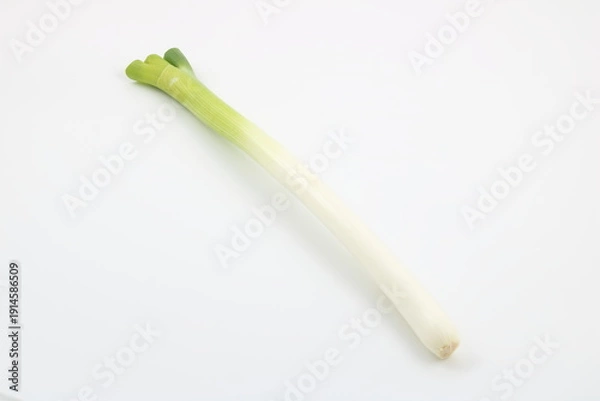 Obraz シンプルという文字が似合う白ネギの美