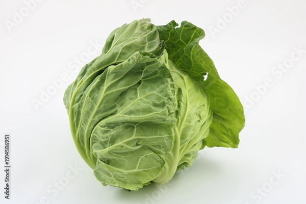 Obraz シンプルな春キャベツの白バック