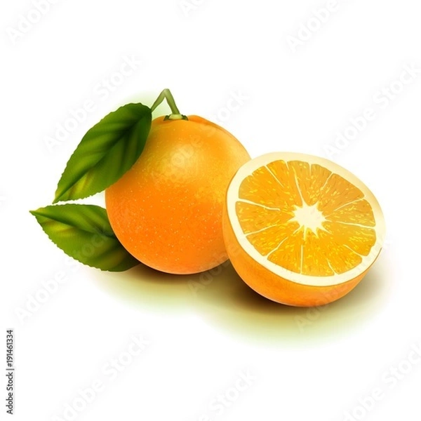 Fototapeta Realistic vector orange fruit isolate. Orange with leaves isolated on white.