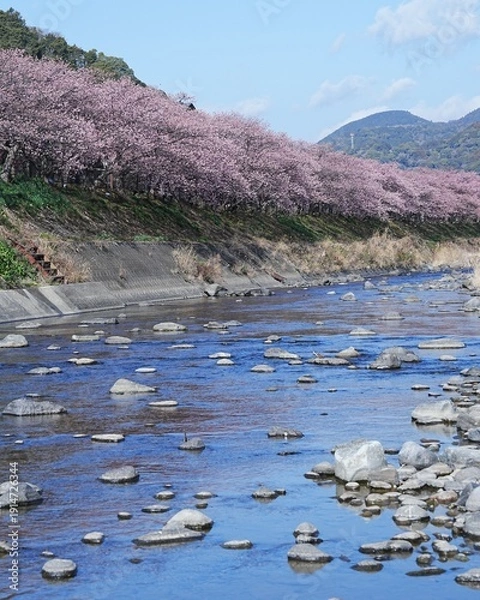 Obraz 里山河津桜の風景