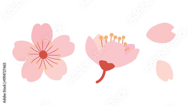 Obraz ピンクの桜の花びら素材セット