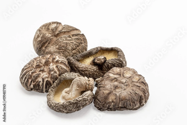 Fototapeta どんこ椎茸