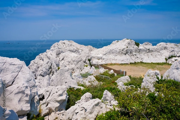 Fototapeta 和歌山県 白崎海洋公園