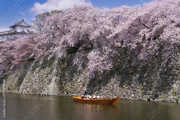 Fototapeta 桜と和船