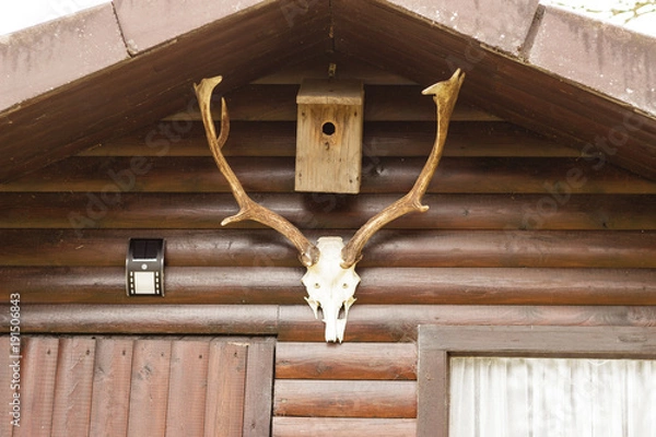 Fototapeta Geweih an Hütte