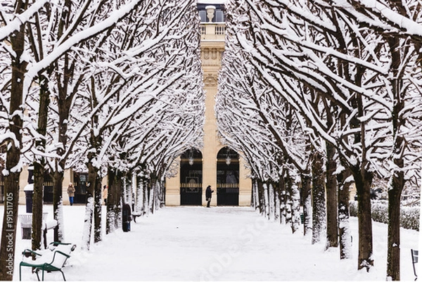 Obraz Paris under the snow