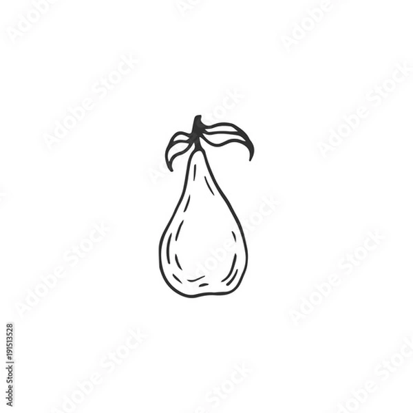 Obraz pear vector draw