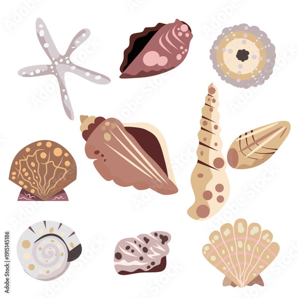 Obraz Cute Seashell Collection Vector Illustration