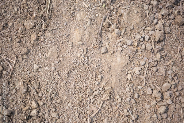 Fototapeta earth background