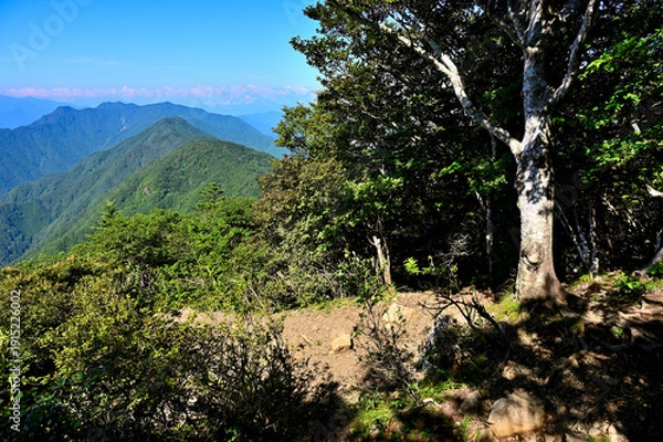 Obraz 御坂山地の黒岳展望台より　夏の御坂山地
