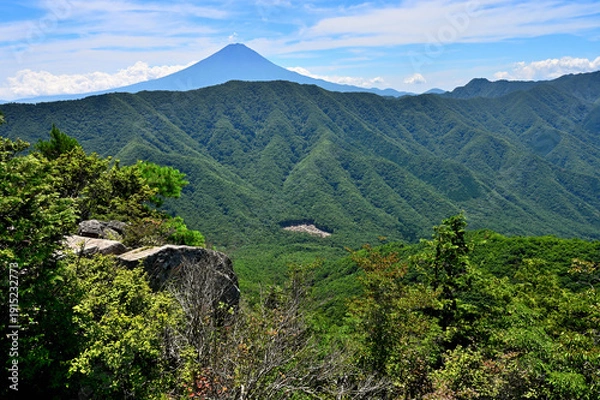 Obraz 御坂山地の釈迦ヶ岳山頂より　夏富士山と緑の山稜
