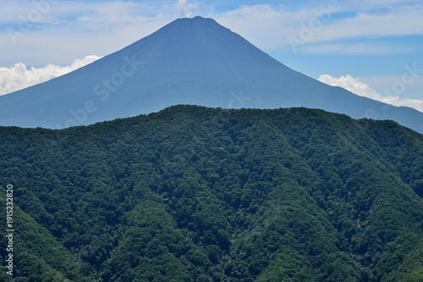 Obraz 御坂山地の釈迦ヶ岳山頂より　夏富士山と緑の山稜
