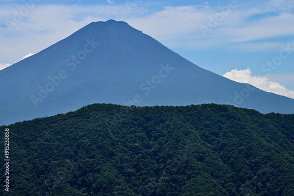 Obraz 夏の富士山　御坂山地の釈迦ヶ岳山頂より望む
